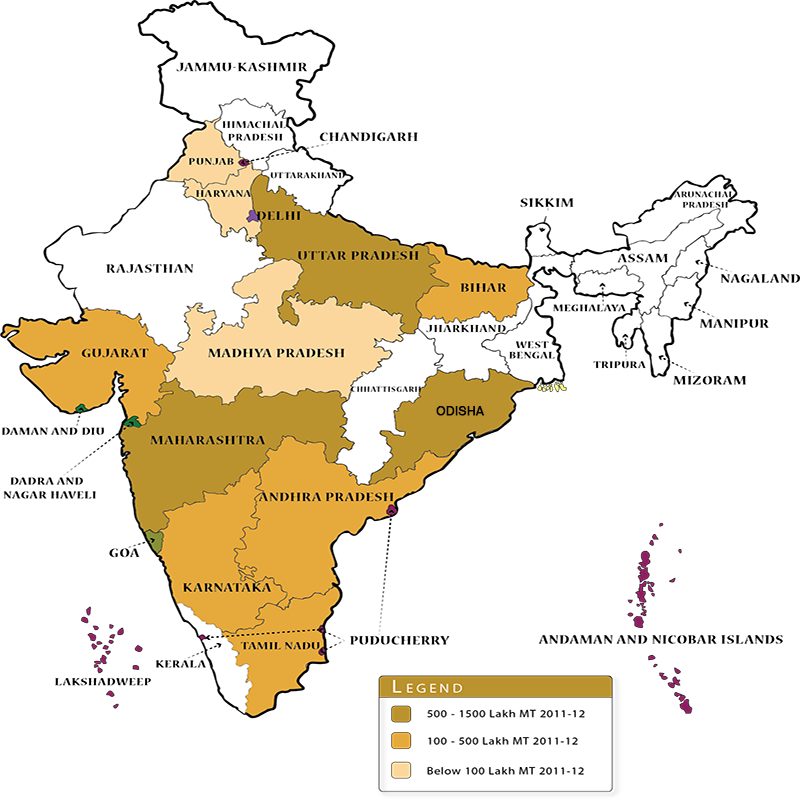 Sugarcane Cultivation In India Map - Largest Major Producer States Of Sugarcane Tea Coffee (800x800), Png Download