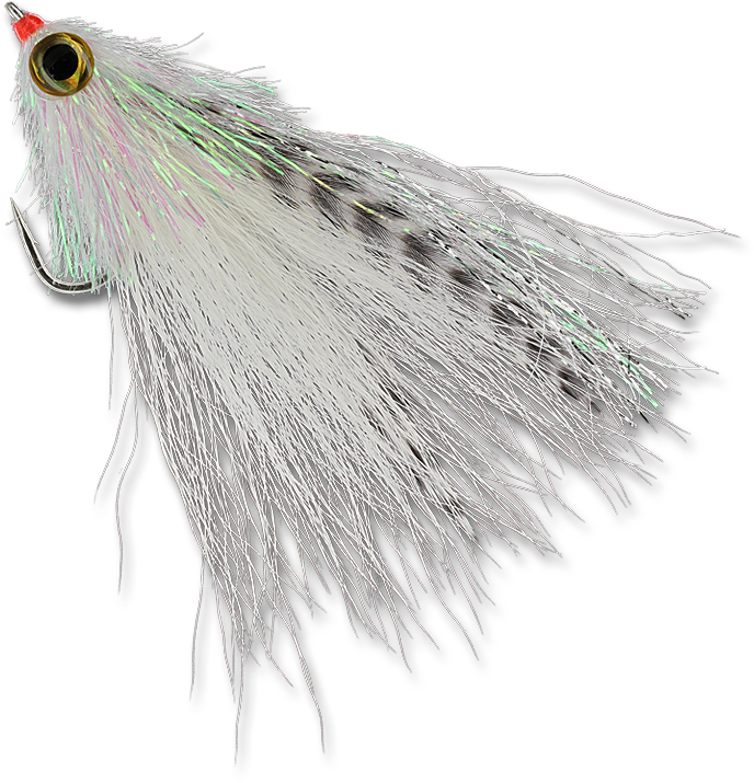 Midnight Mullet - Mullet (800x800), Png Download