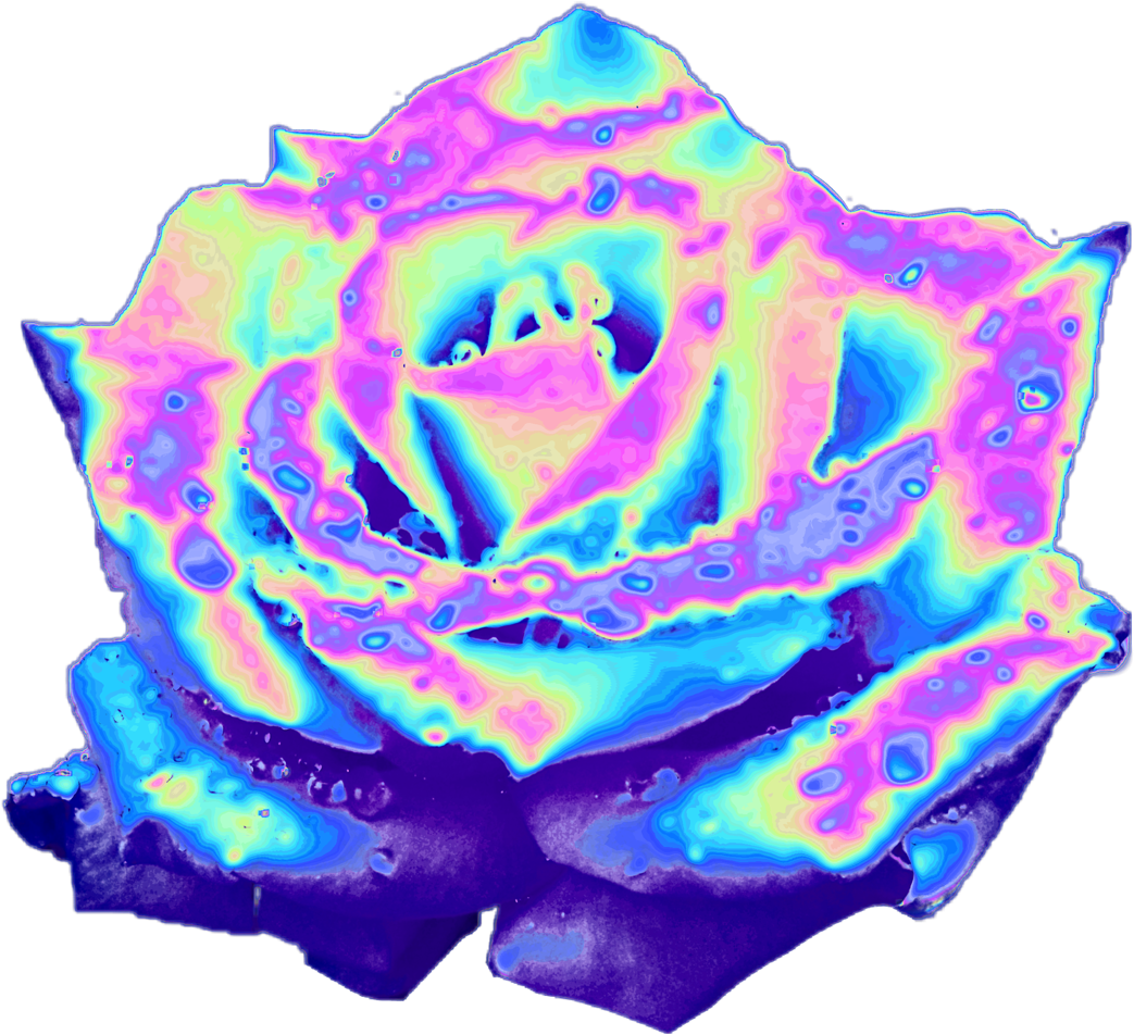 Top 10 Holographic Flowers - Rose (1280x1280), Png Download