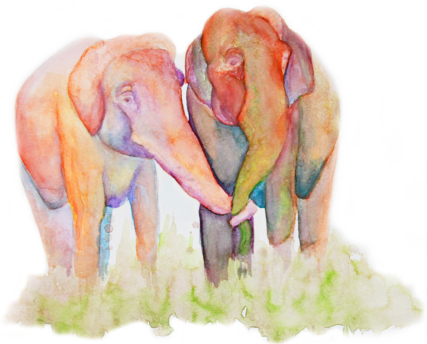 The Herd - Indian Elephant (1436x1158), Png Download