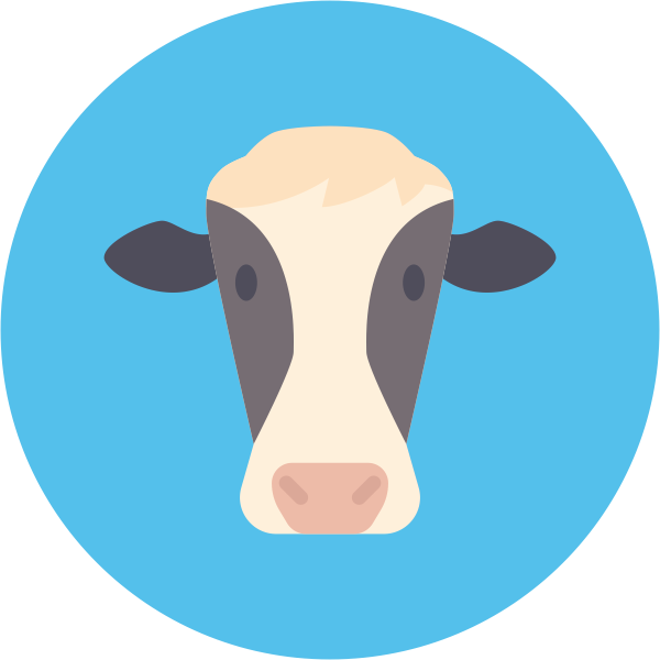 Breed Of Cows - Cattle (600x600), Png Download