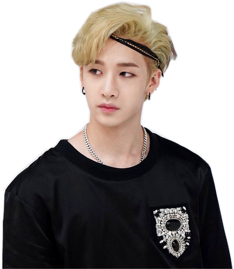 Stray Kids (480x552), Png Download