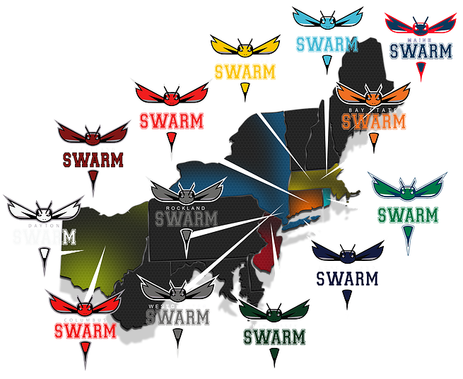 Swarm Nation - Portable Network Graphics (673x561), Png Download