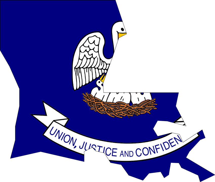 Louisiana Case Law - Flag Of Louisiana (850x720), Png Download