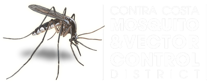 Anti Mosquito (800x331), Png Download