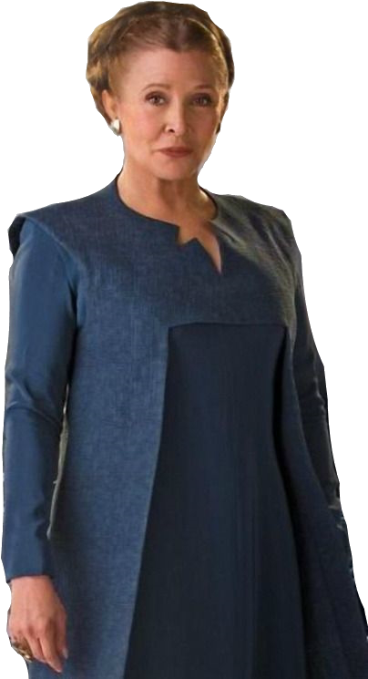 Png Princesa Leia - Leia Organa (516x810), Png Download