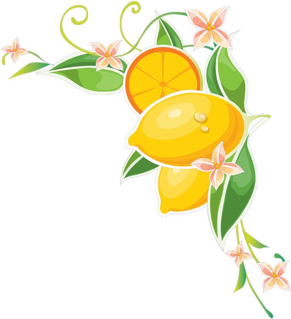 Tubes Bordures,tubes Coins,corners - Flower Wall Mural - Bright Yellow (600x665), Png Download