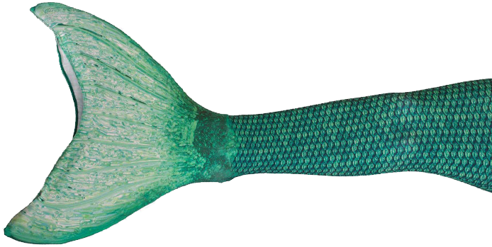 Share This Article - Mermaid Tail Transparent Background (726x384), Png Download