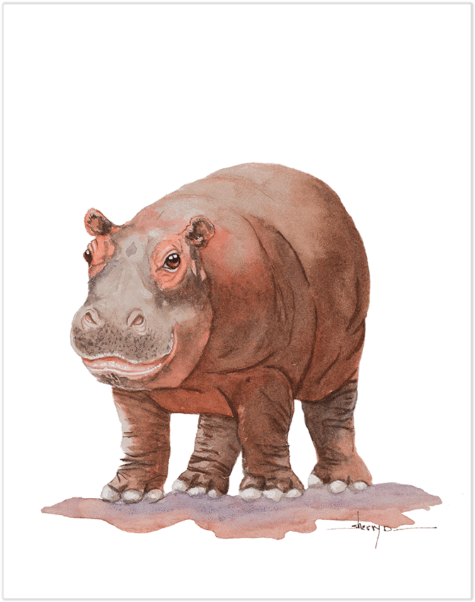 Baby Hippo Wall Art - Black Rhinoceros (900x900), Png Download