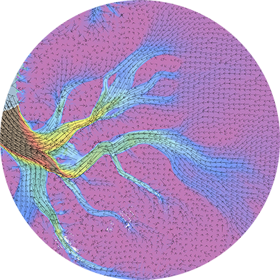 Measures Antarctica Ice Velocity Map Nsidc, - Circle (393x393), Png Download