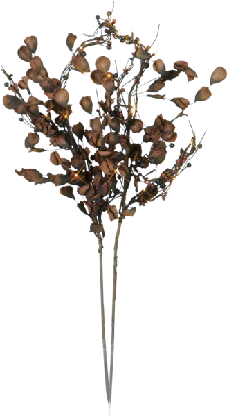 Decorative Twig Autumn - Star 32-piece Branch Lamps, Brown (600x600), Png Download