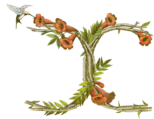 Entiwned Cs Monogram - Monogram (750x486), Png Download