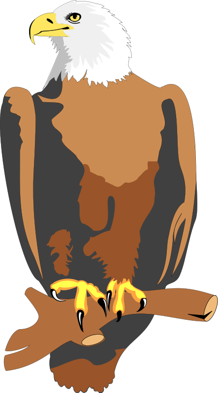 Bird 28 Free Vector - Animated Eagle (443x800), Png Download