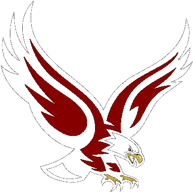 Report - Boston College Eagles Logo (408x405), Png Download