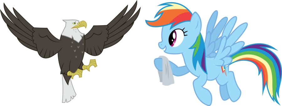 Bald Eagle, Bird, Duo, Eagle, Flying, May The Best - Cartoon (900x338), Png Download