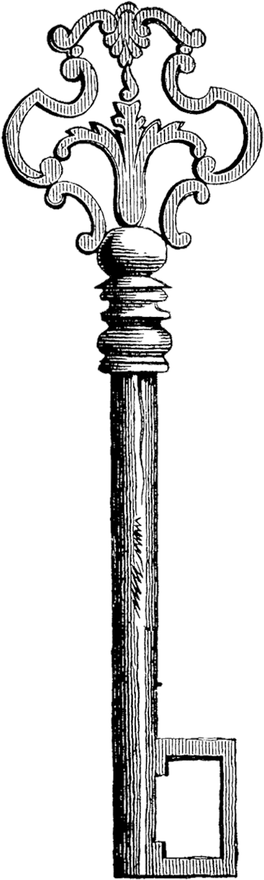 Alice In Wonderland Vintage Key (544x1800), Png Download
