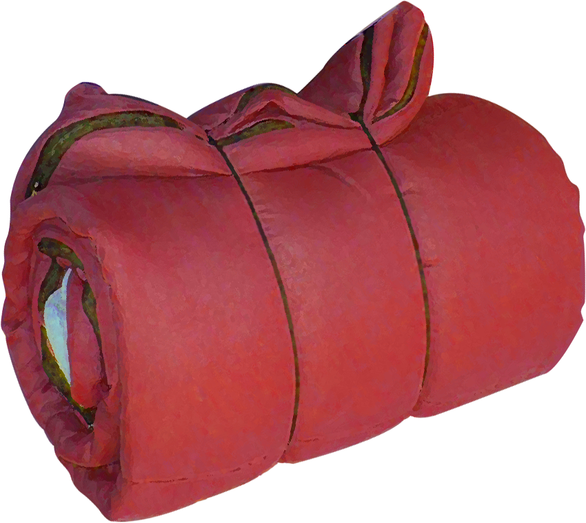 Sleeping Bag - Red Sleeping Bag Png (850x759), Png Download