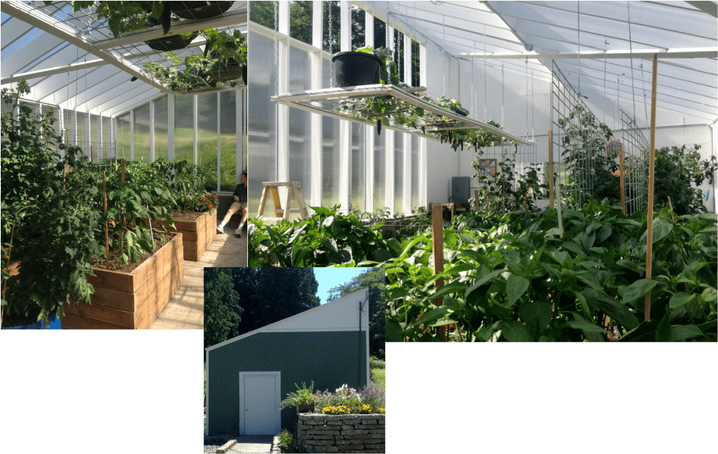 Our Greenhouse Produce - Greenhouse (1005x636), Png Download