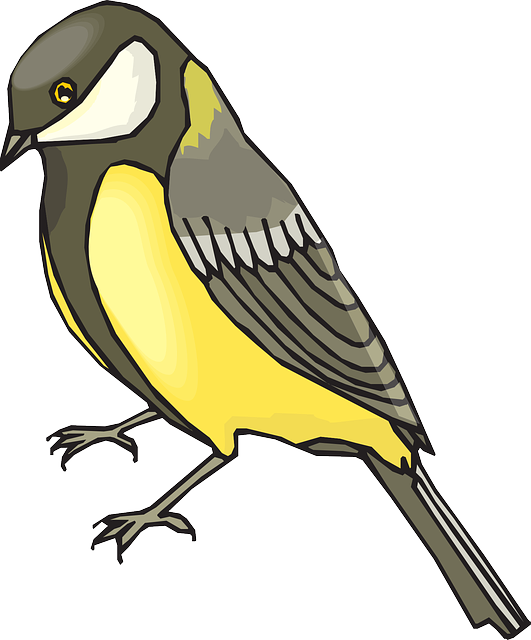 Feathers View, Bird, Wings, Side, Animal, Goldfinch, - Goldfinch Clipart (531x640), Png Download