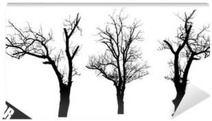 Vector Graphics (400x400), Png Download