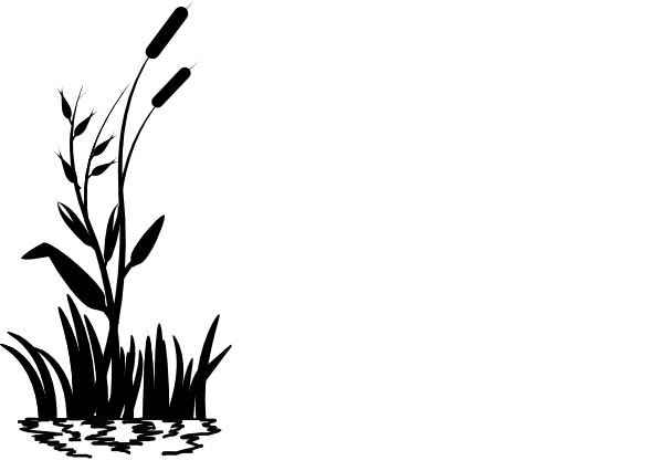Picture Royalty Free Stock Cattail Clip Art At Clker - Grass Clip Art Black And White (600x426), Png Download