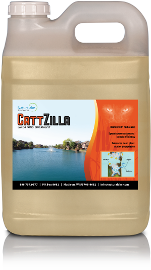 Cattail-management - Management (576x576), Png Download