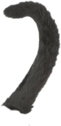 Cattail (890x1003), Png Download
