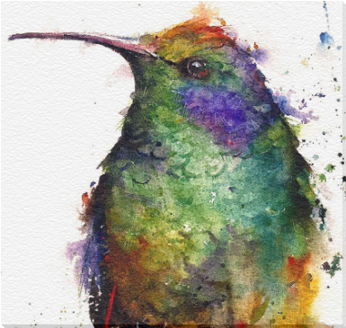 Pinturas De Colibries En Acuarela (800x800), Png Download