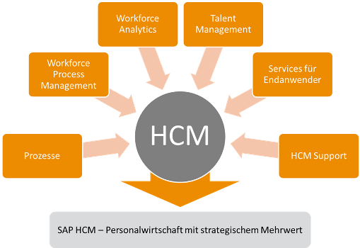 Sap Human Capital Management (530x350), Png Download