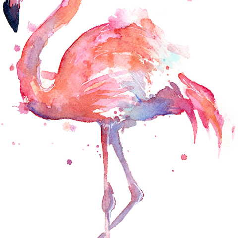Flamingo Watercolor Painting Hd (480x480), Png Download