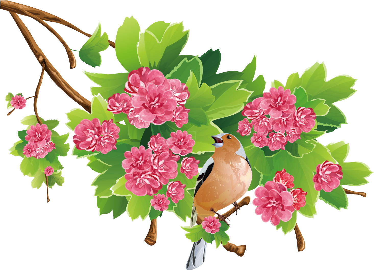Flower Free Content Clip Art - Pink Flowers Background Leaf (1500x1501), Png Download