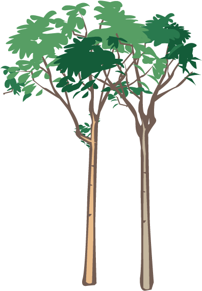 Vegetation - Modern Green Tree 29 Shower Curtain (600x600), Png Download