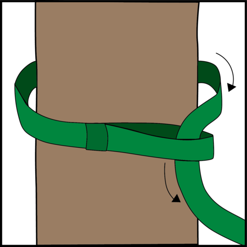 Begin By Wrapping The Strap Around The Tree And Insert - Strap (500x500), Png Download