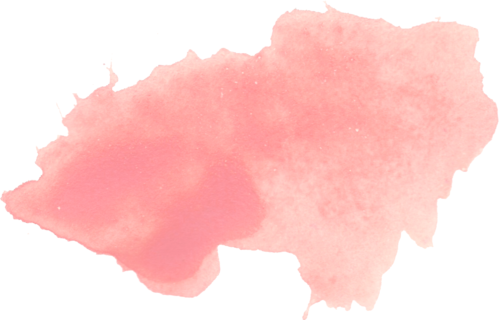 70 Melon - Flatworm (1984x1370), Png Download