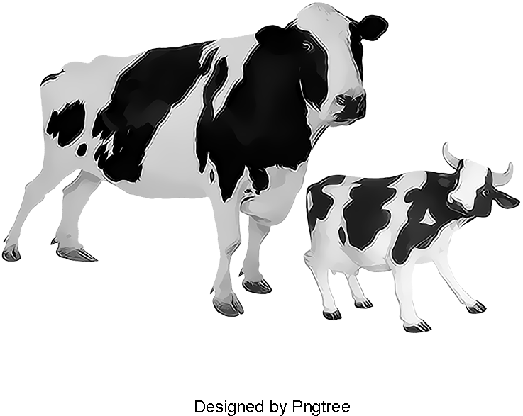 download cow calf image cow clipart animal biological png cow tipping greeting card full size png image pngkit download cow calf image cow clipart