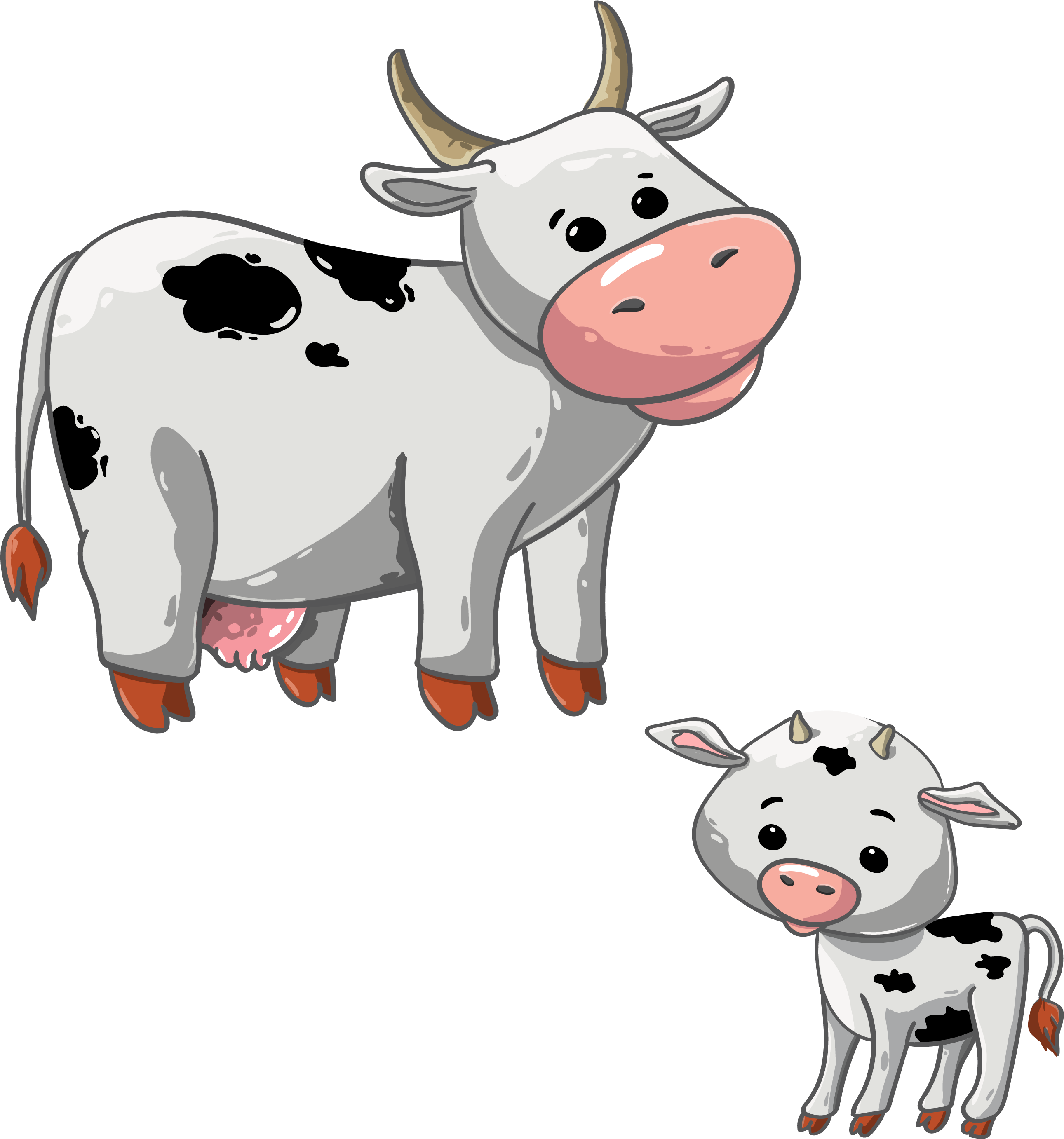 Cow, Calf, Animal, Udder, The Horn Of Africa, Cattle - Cow And Calf Clipart (673x720), Png Download
