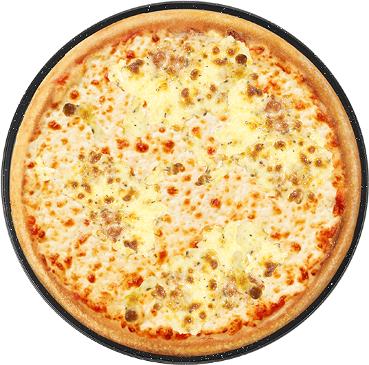 Cheese & Garlic - Cheese And Garlic Pizza (551x551), Png Download