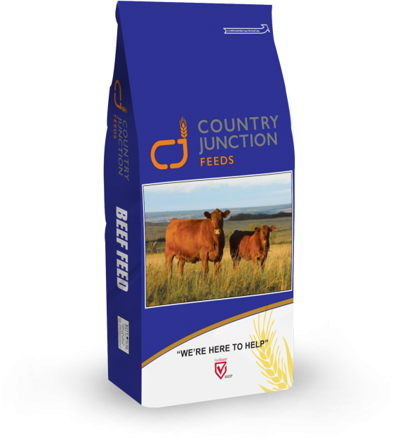 32-0 Beef Supplement Or - Dietary Supplement (768x713), Png Download