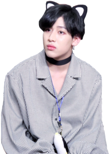 Png, Bambam, And Got7 Image - Got7 Bambam Png (500x335), Png Download