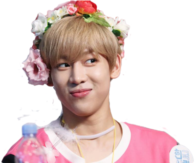 Got7, Png, And Bambam Image - Got7 Flower Crowns (500x333), Png Download