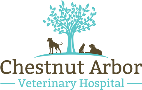 Chestnut Arbor Veterinary Hospital Chestnut Arbor Veterinary - Chestnut Arbor Veterinary Hospital Matthews (500x317), Png Download