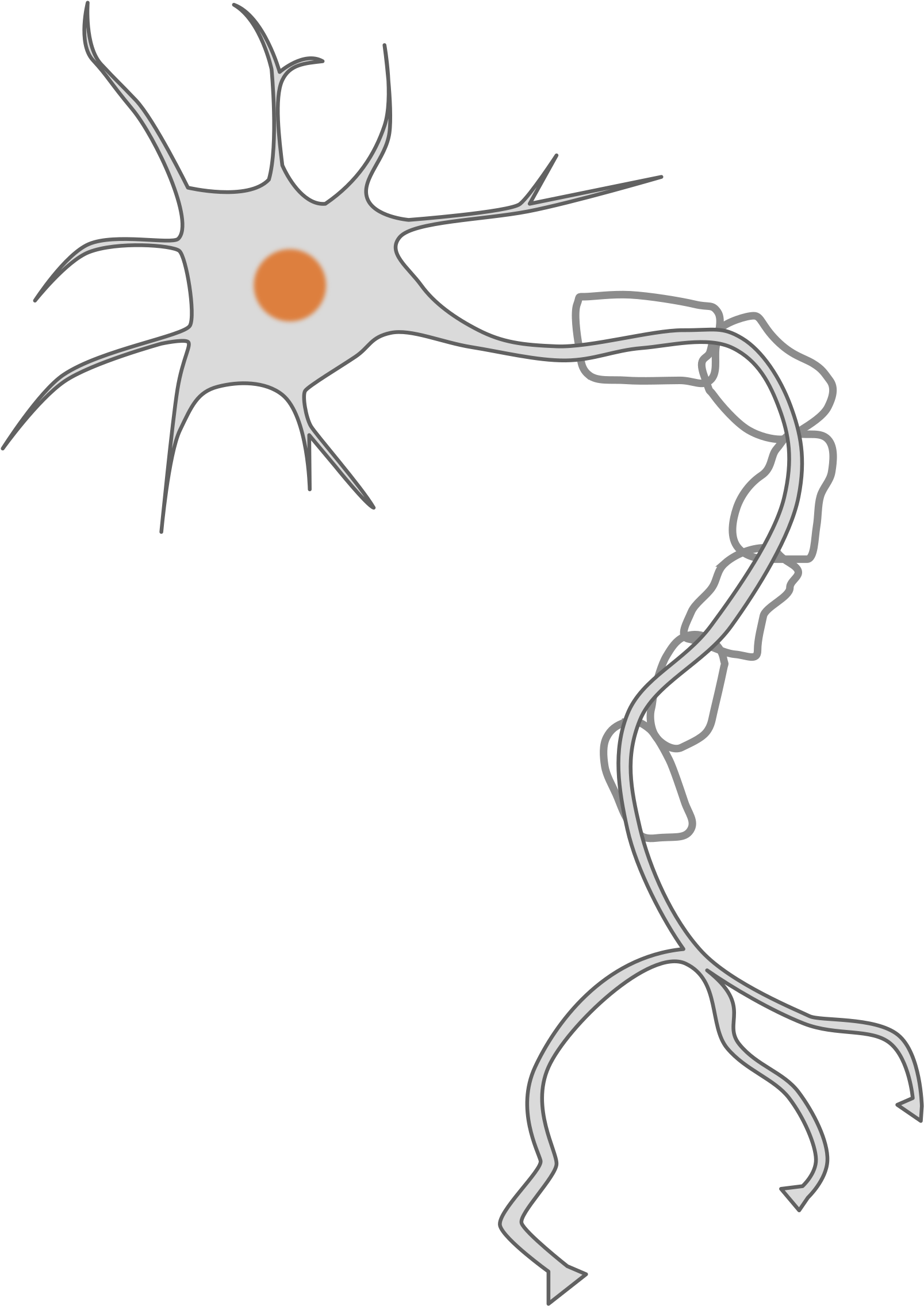 This Free Icons Png Design Of Simple Neuron (1736x2400), Png Download