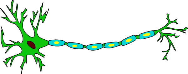 How To Set Use Neuron Clipart (600x237), Png Download
