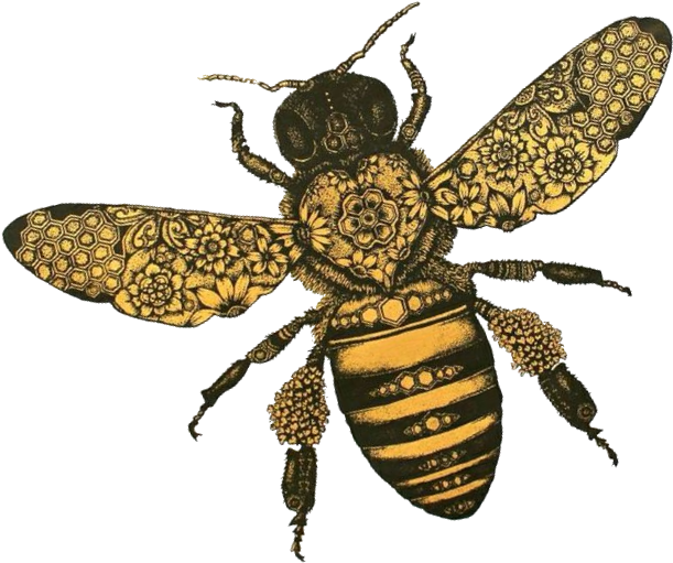 Hfk Bee Tilt - Hopeless Fountain Kingdom Bee (736x616), Png Download