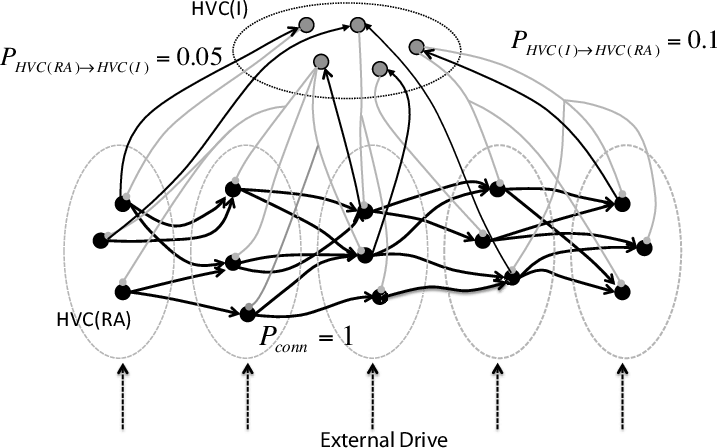Hvcra Neurons Black Circles Form Successive Group - Circle (717x448), Png Download