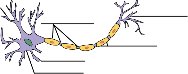 Clipart Free Stock Label The Clip Art At Clker Com - 1 Neuron (600x237), Png Download