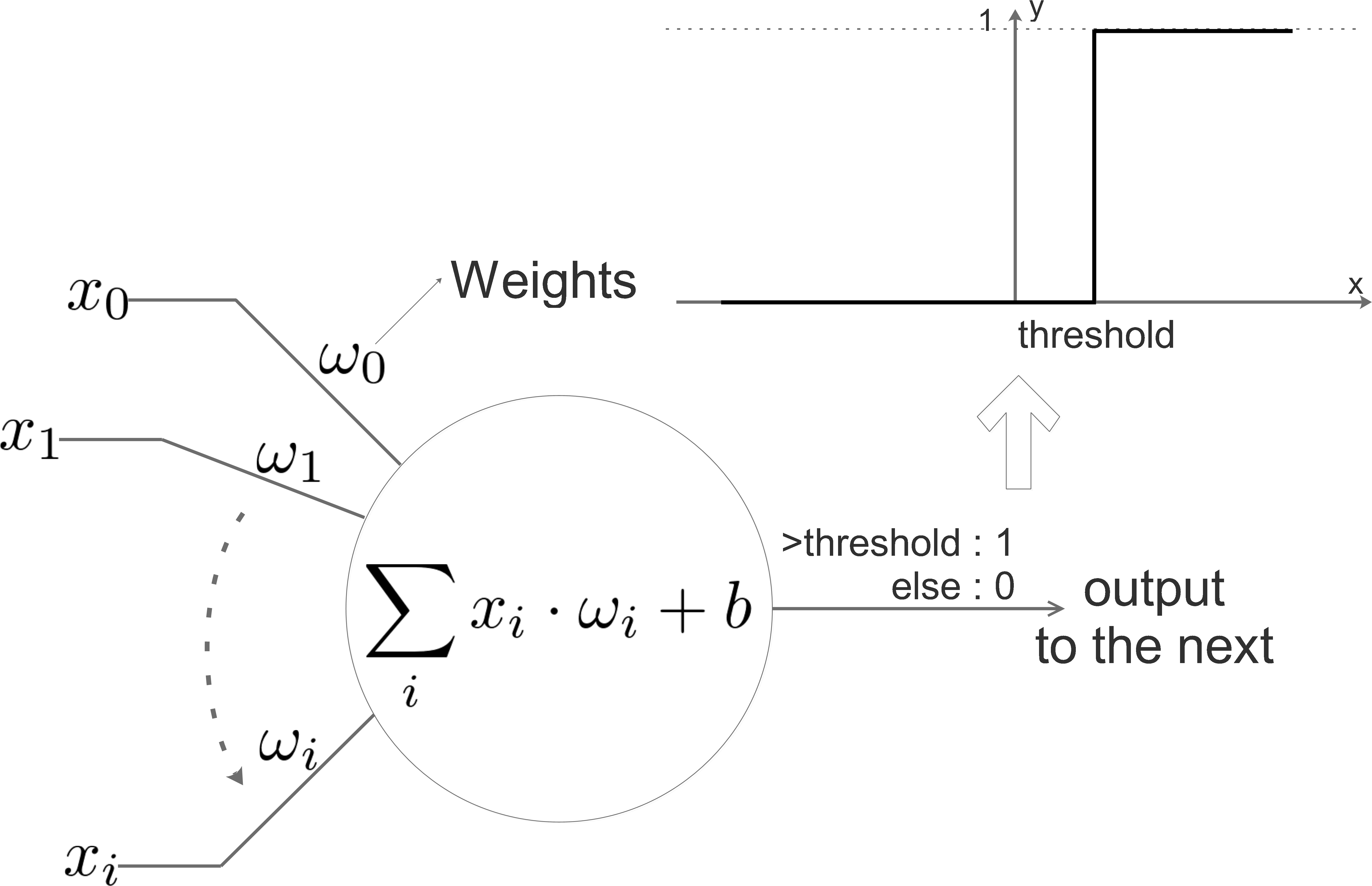 The Above Diagram Shows A Neuron In Nn, It Simulates - Diagram (5368x3491), Png Download