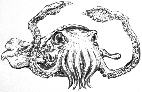 Kraken Concept Art - Kraken Drawing Transparent (463x300), Png Download