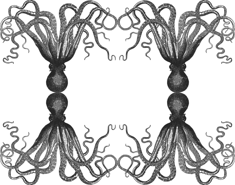 Vintage Octopus Throw Blanket (800x632), Png Download