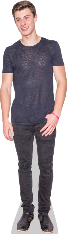 Shawn Mendes Cardboard Cutout - Shawn Mendes Stand Up (363x757), Png Download